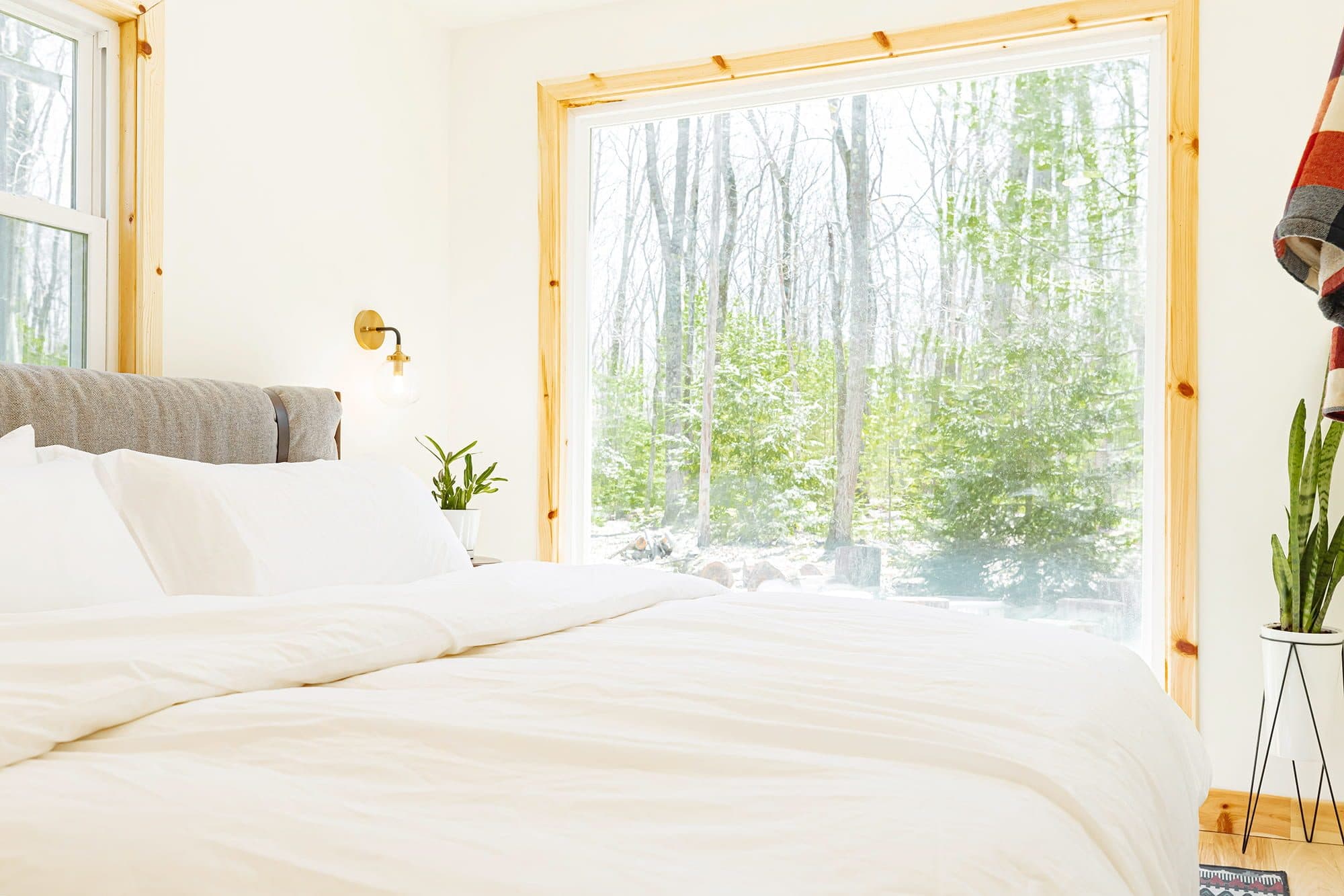 A bright suite at The Rex with a window onto the Pocono forest